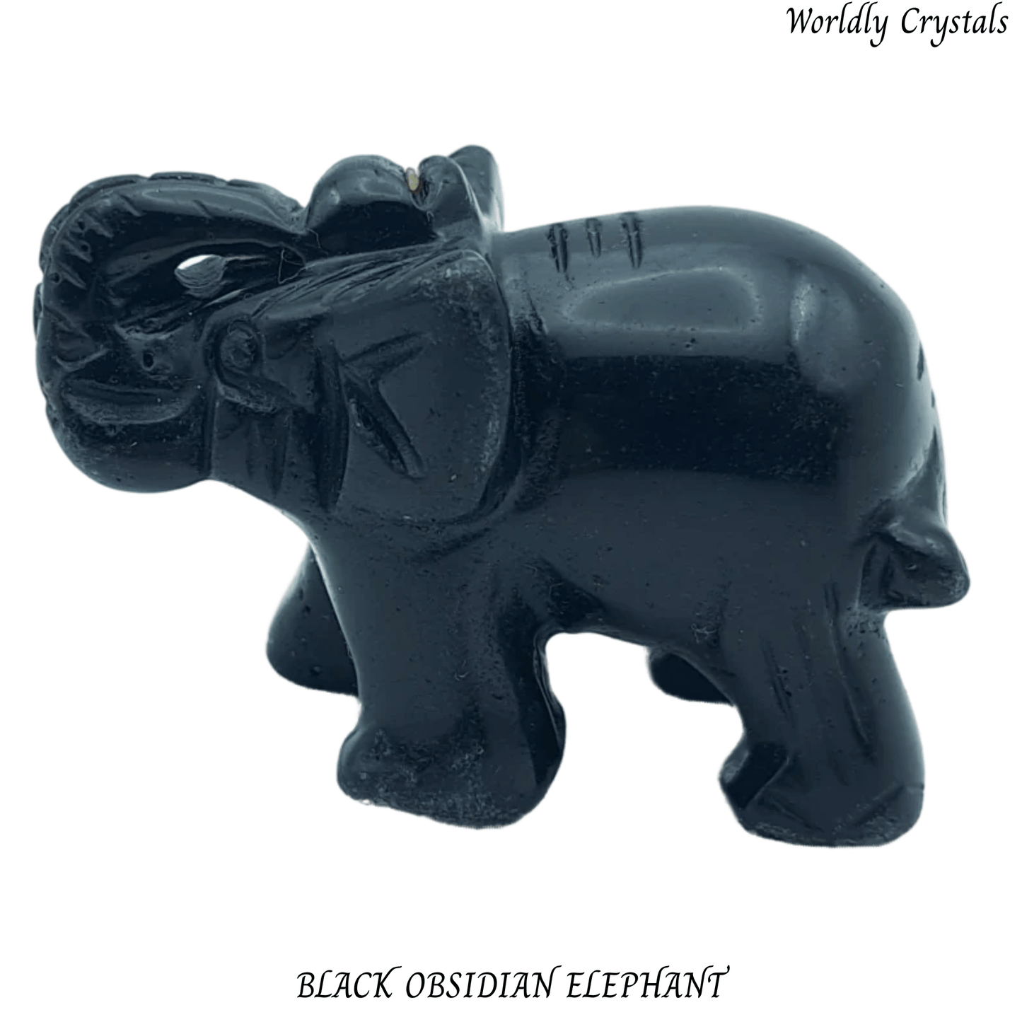Elephant Obsidian Black