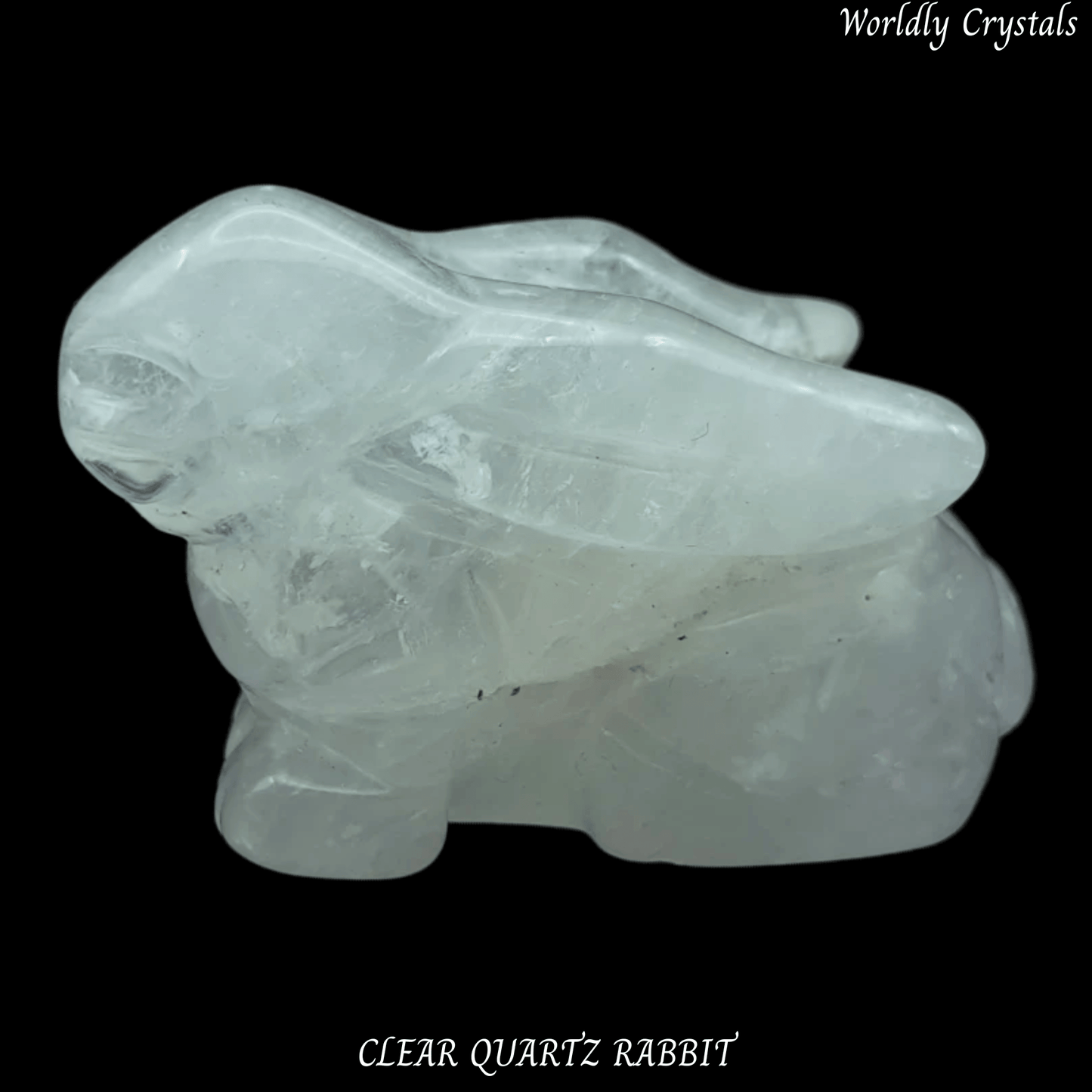 Rabbit Clear Quartz Laying