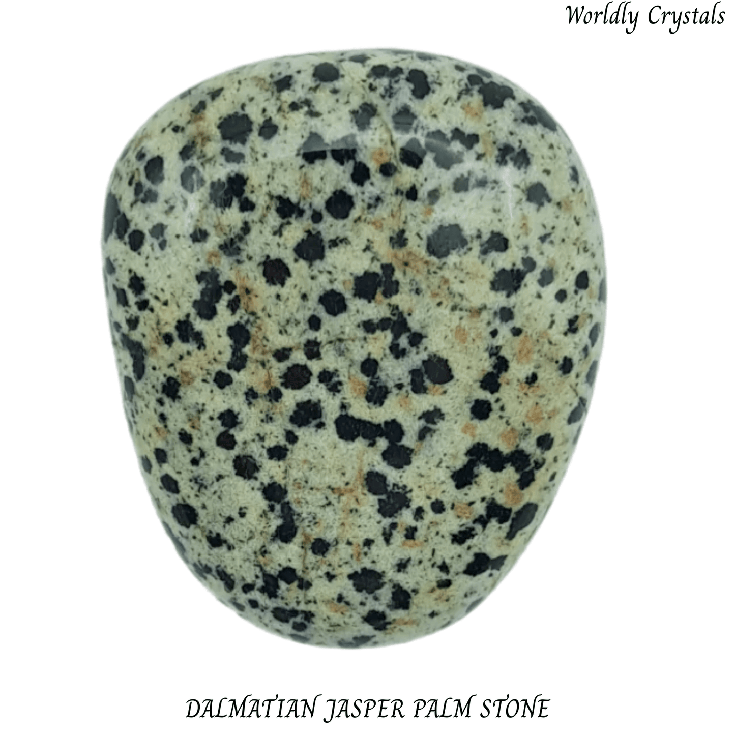 Palm Stone Jasper Dalmatian
