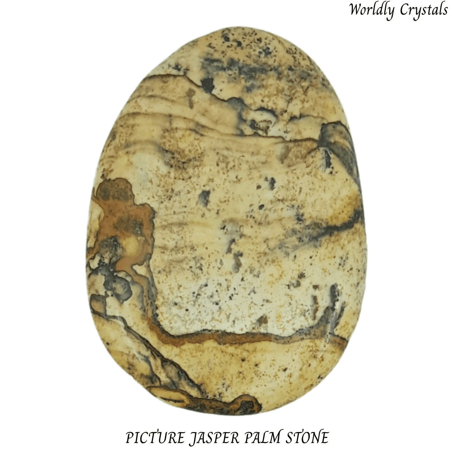 Palm Stone Jasper Picture