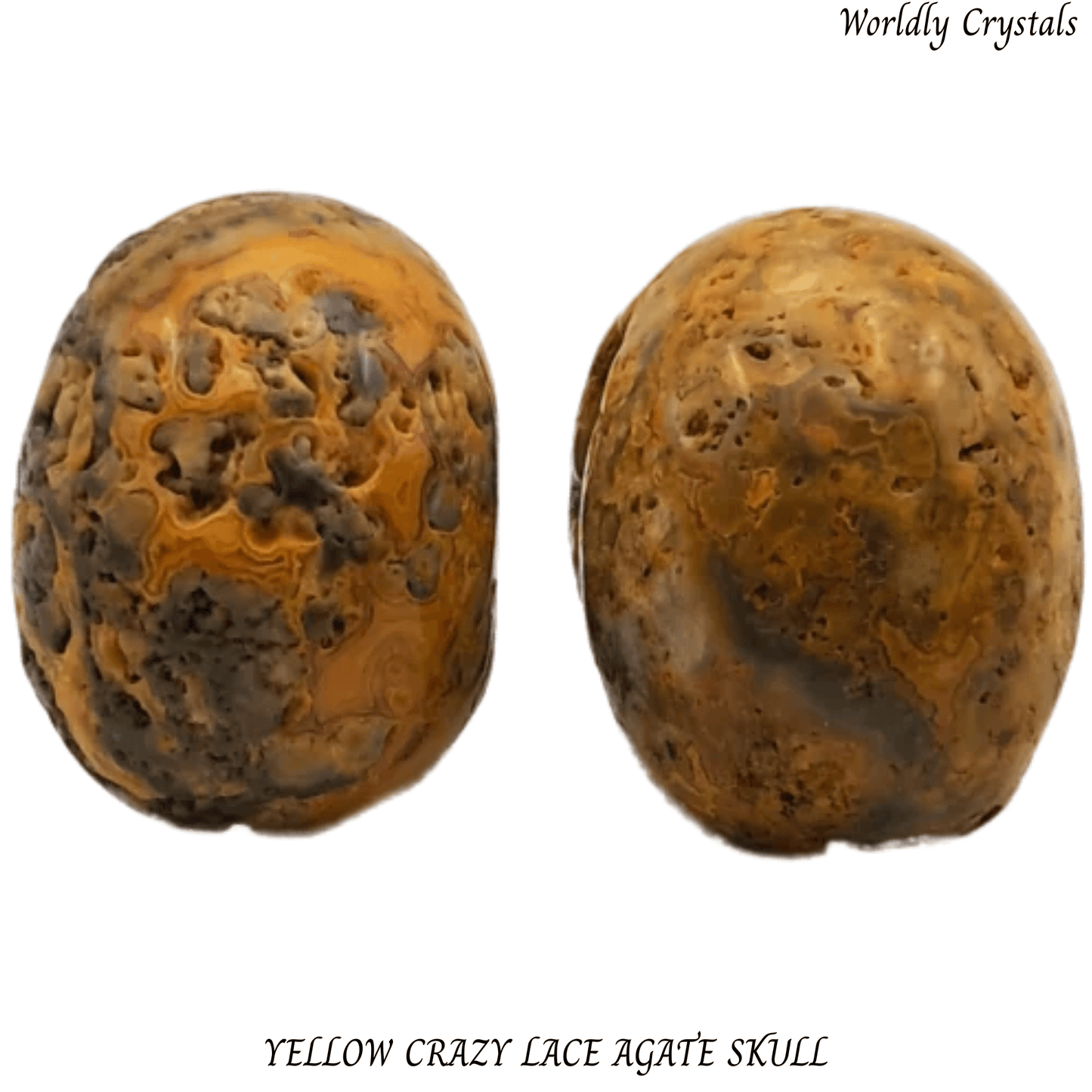 Skull Agate Crazy Lace Yellow