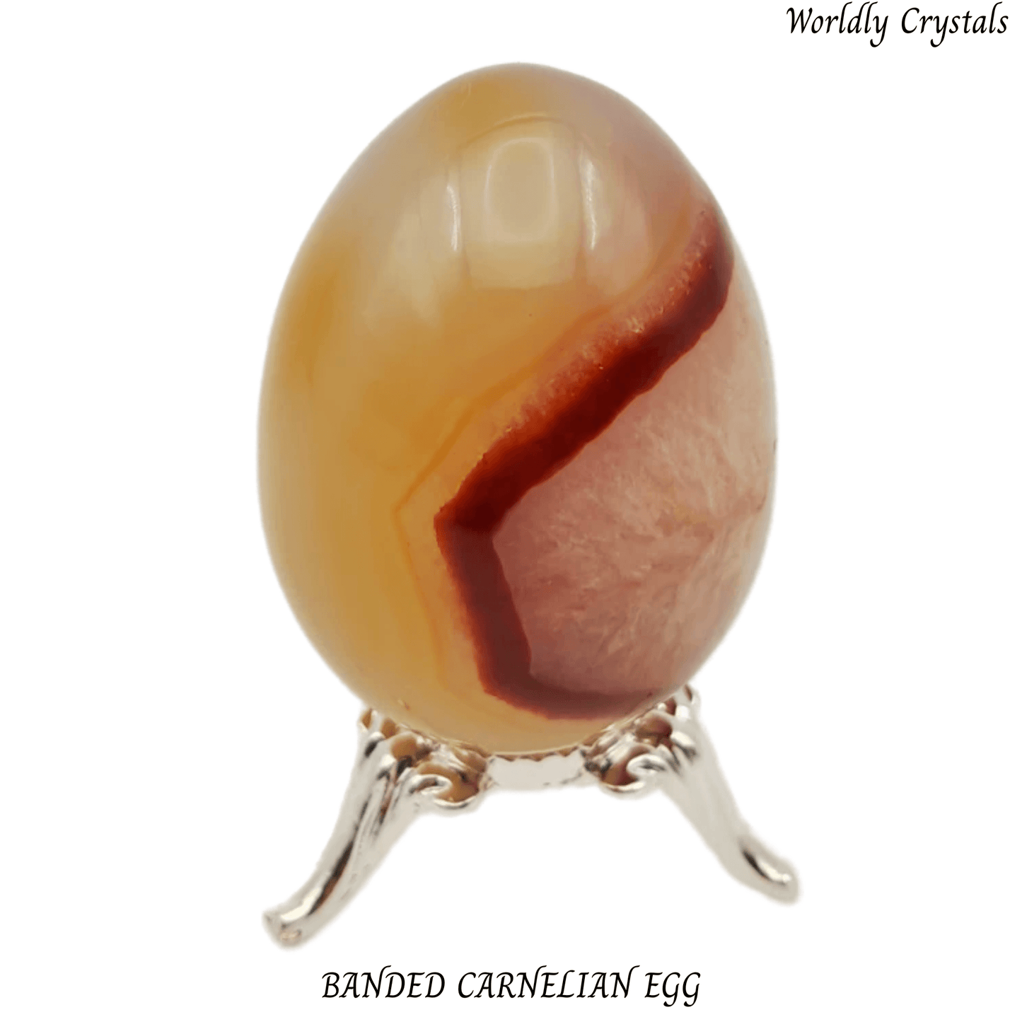 Egg Carnelian Banded