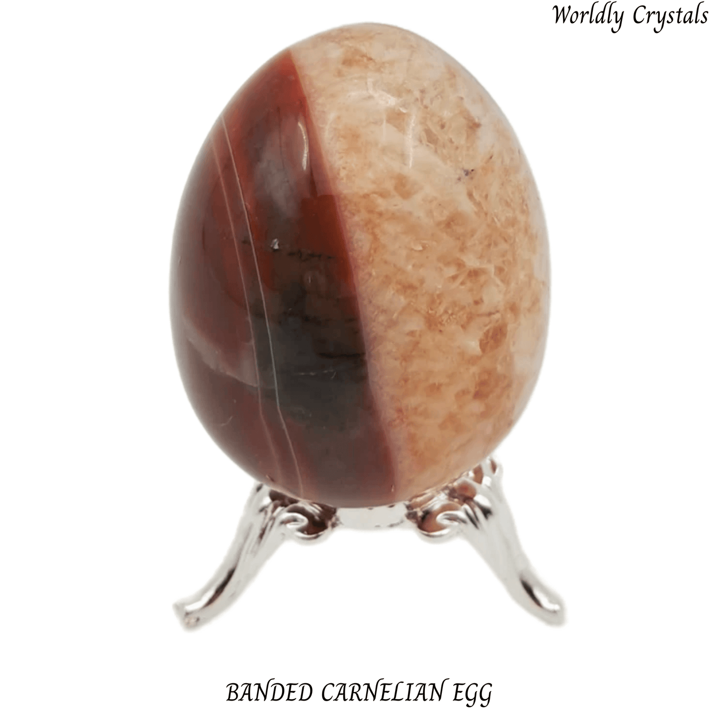 Egg Carnelian Banded