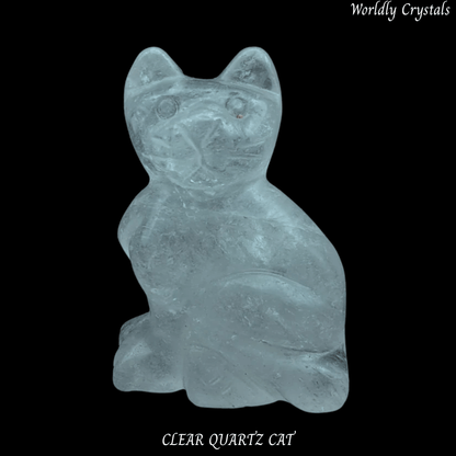 Cat Clear Quartz
