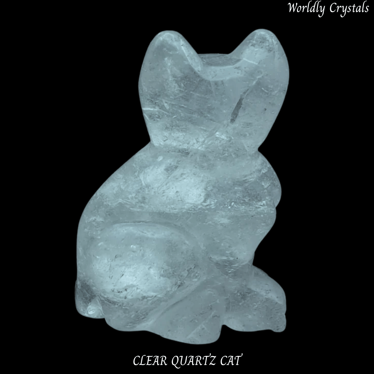 Cat Clear Quartz