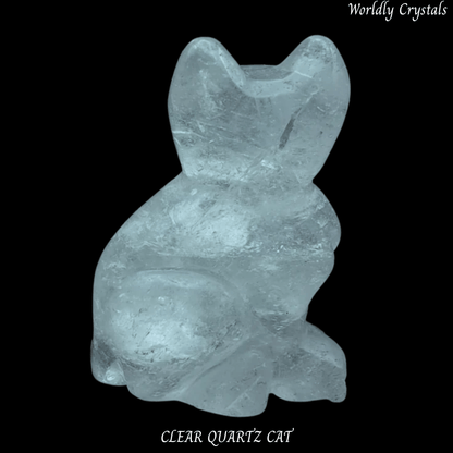 Cat Clear Quartz