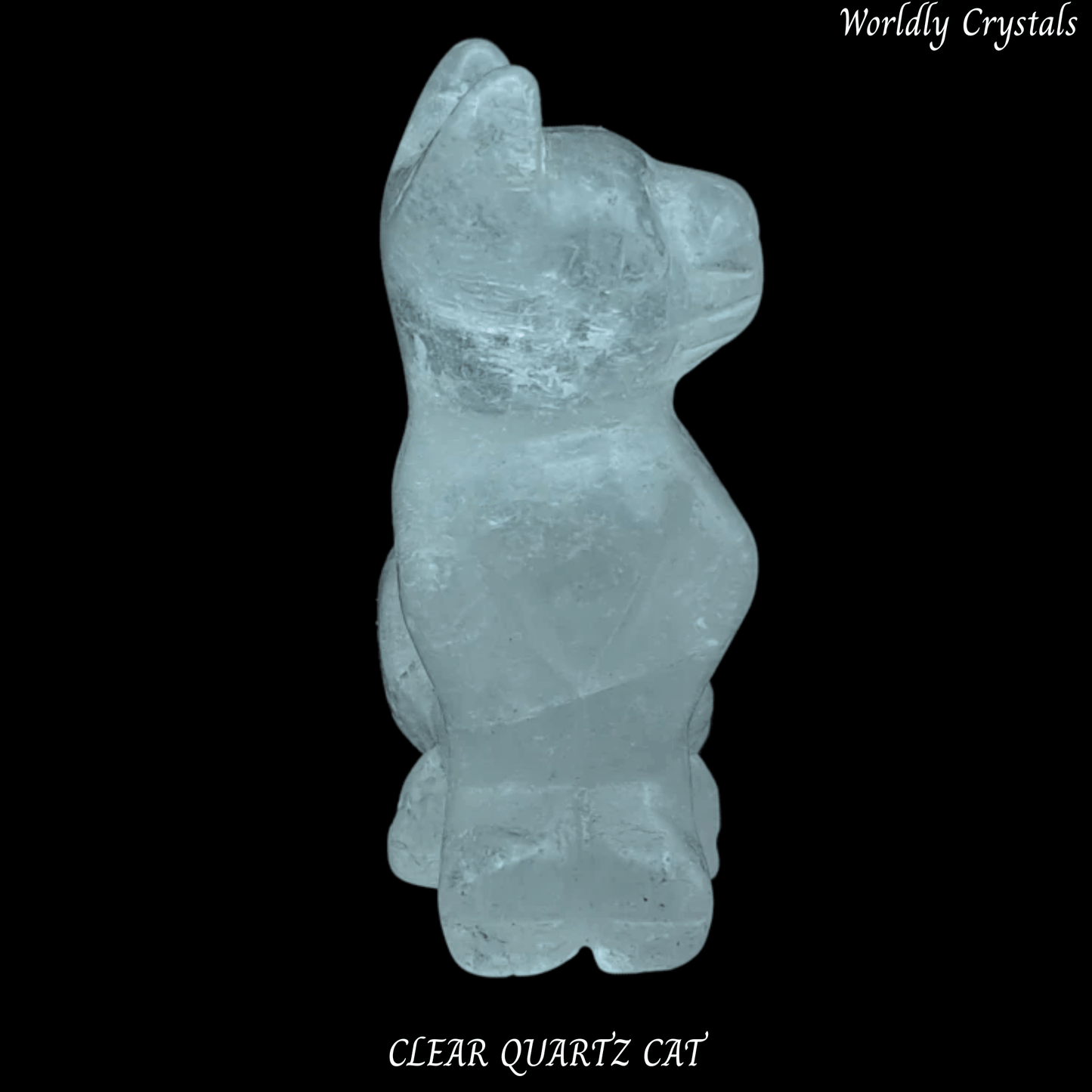 Cat Clear Quartz
