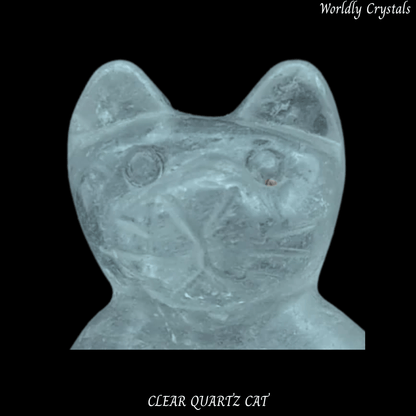 Cat Clear Quartz