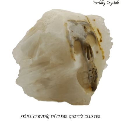 Skull Clear Quartz Cluster