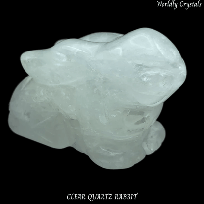 Rabbit Clear Quartz Laying