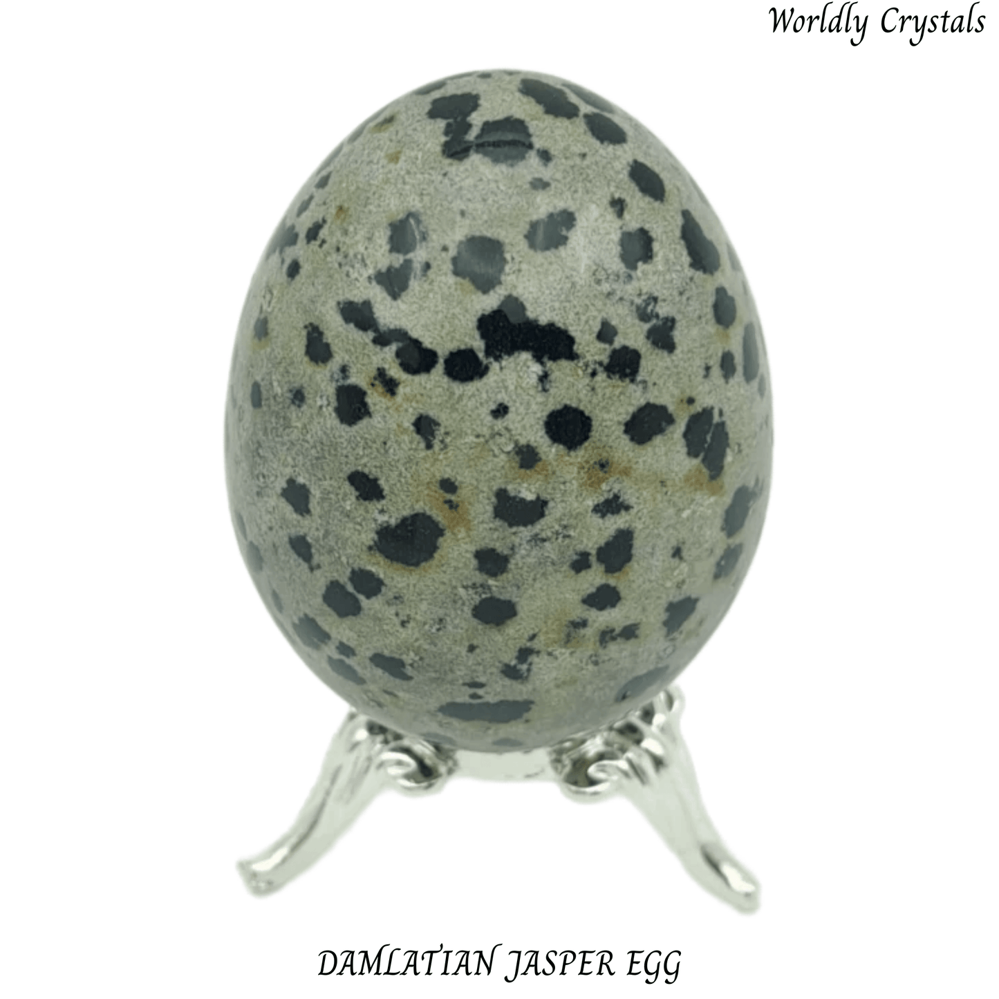 Egg Jasper Dalmatian