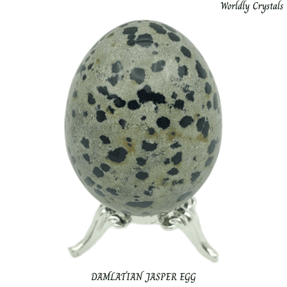 Egg Jasper Dalmatian