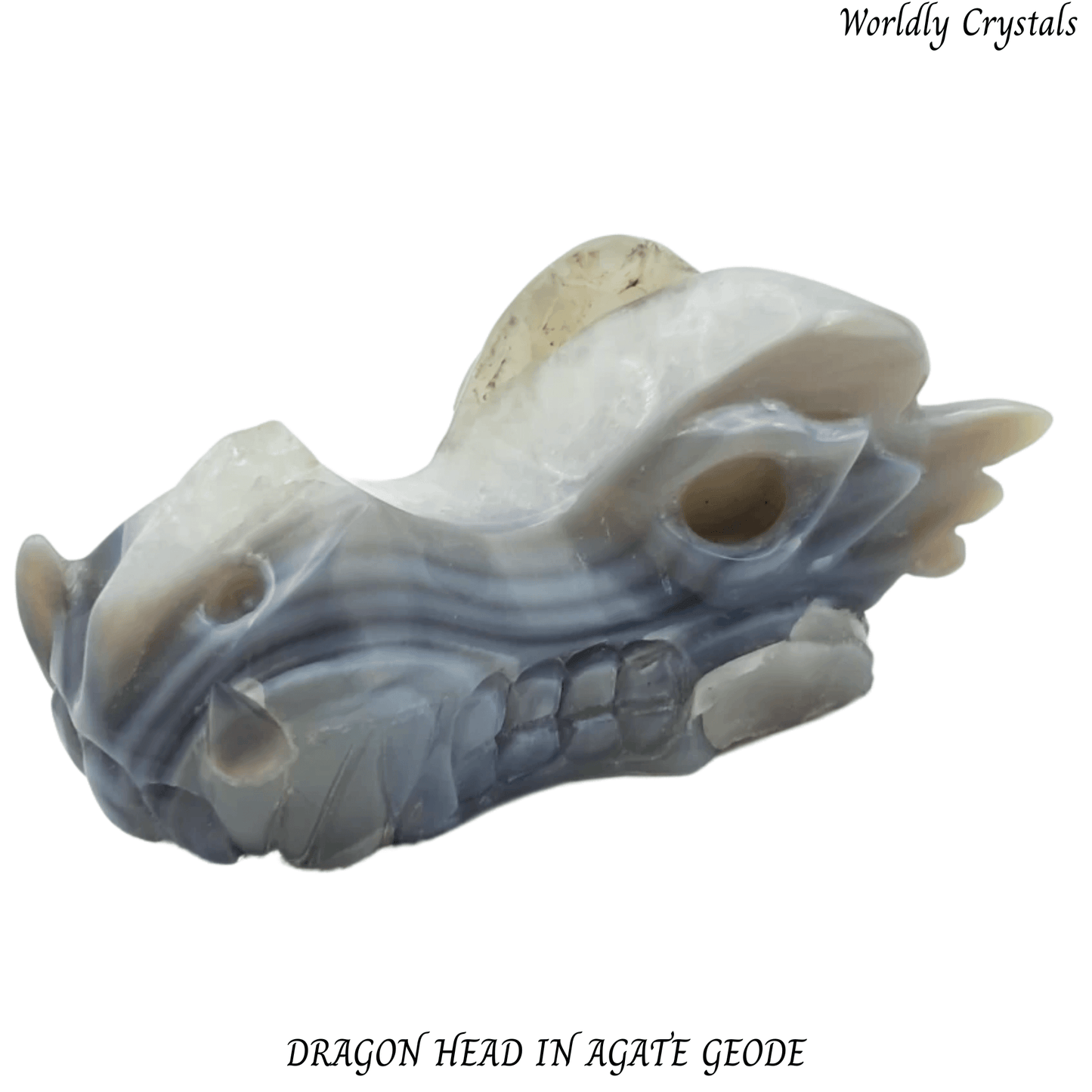 Dragon Head Agate Geode
