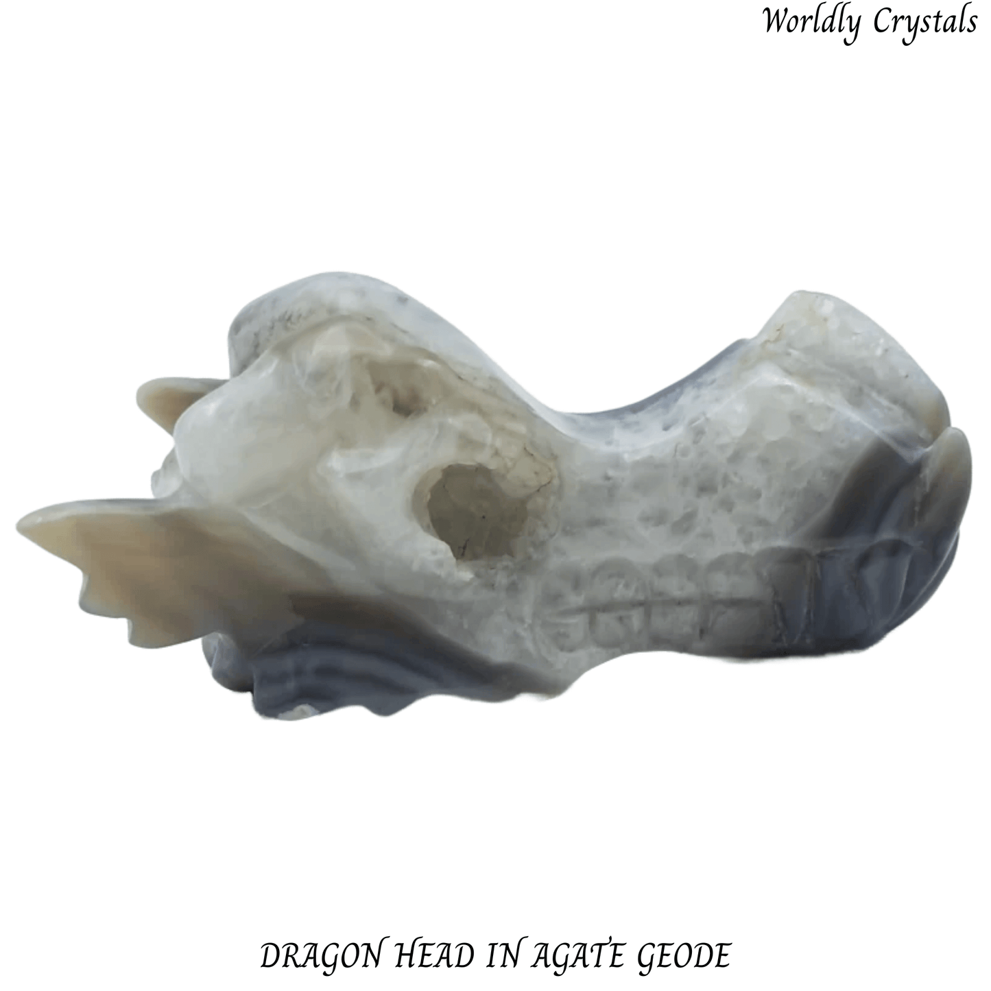 Dragon Head Agate Geode
