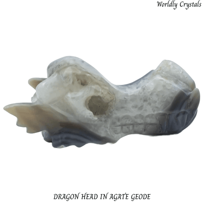 Dragon Head Agate Geode