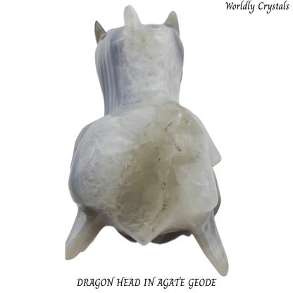 Dragon Head Agate Geode