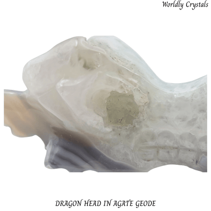 Dragon Head Agate Geode