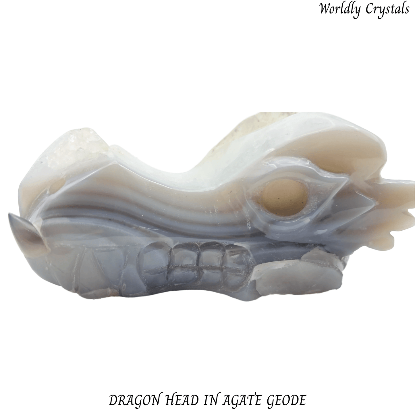 Dragon Head Agate Geode