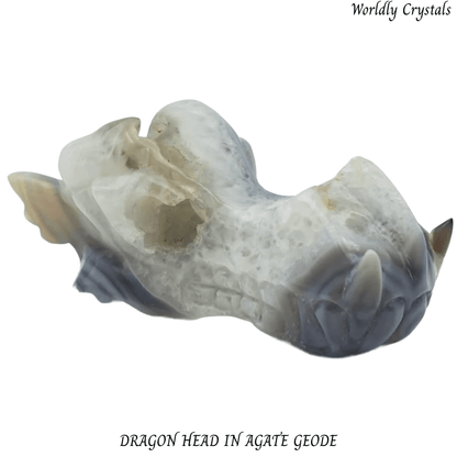 Dragon Head Agate Geode