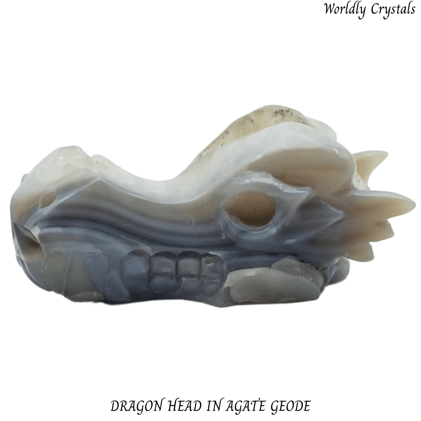 Dragon Head Agate Geode