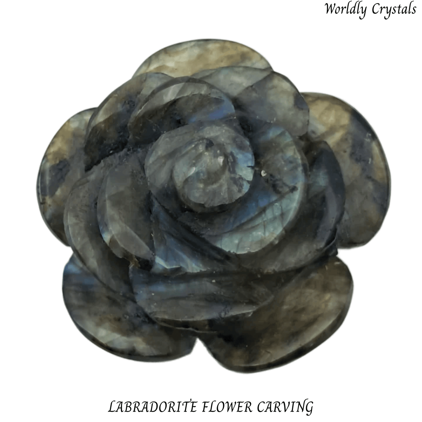 Flower Labradorite