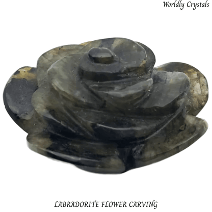 Flower Labradorite