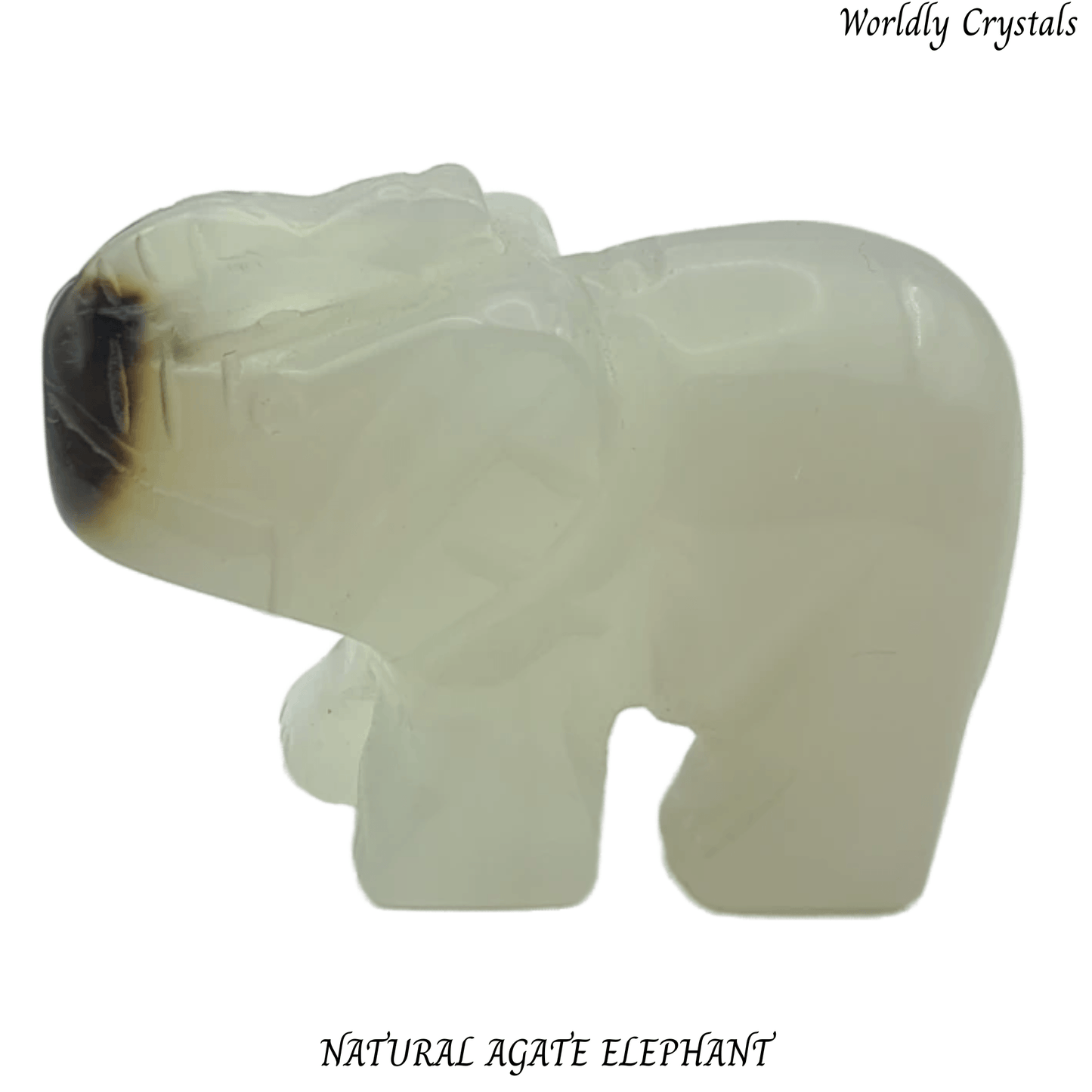 Elephant Agate Natural