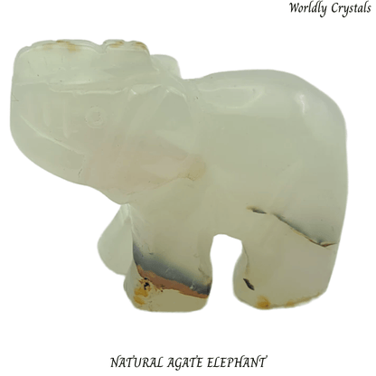 Elephant Agate Natural