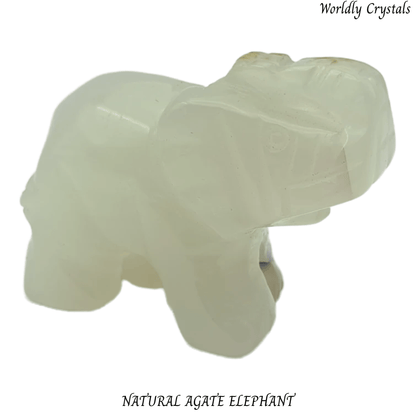 Elephant Agate Natural