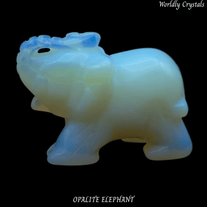 Elephant Opalite