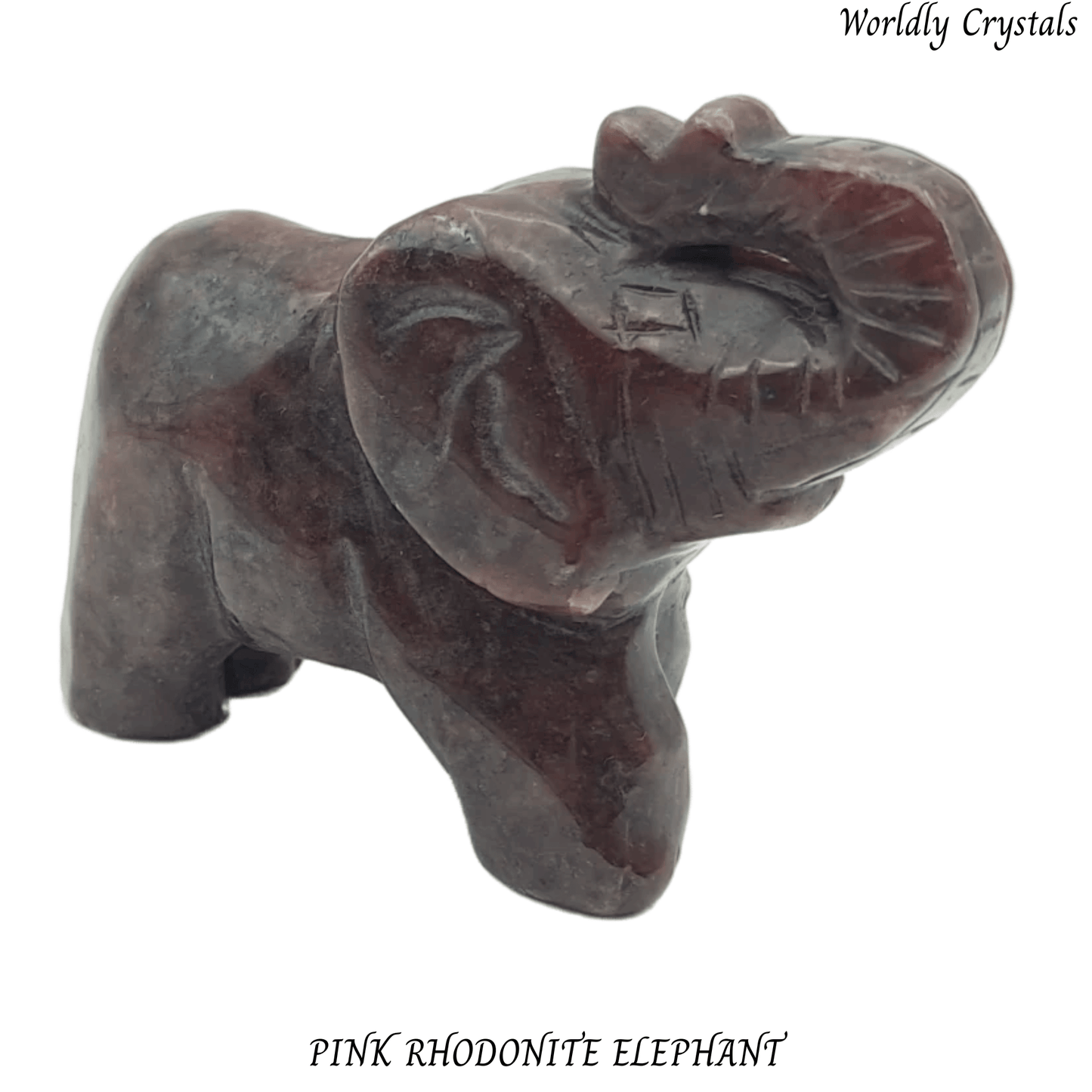 Elephant Rhodonite Pink