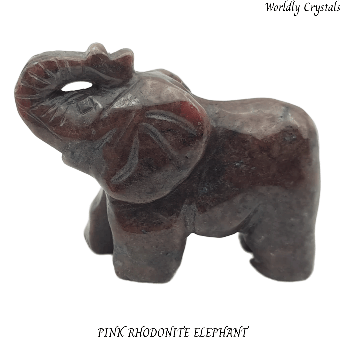 Elephant Rhodonite Pink