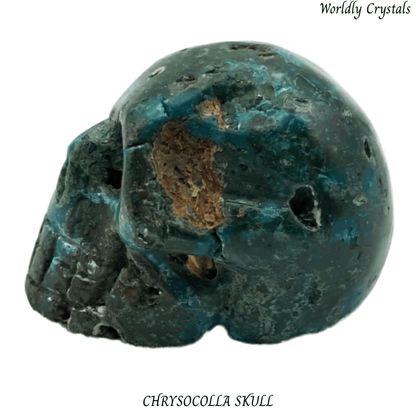 Skull Chrysocolla
