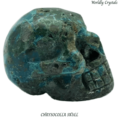 Skull Chrysocolla