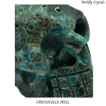 Skull Chrysocolla