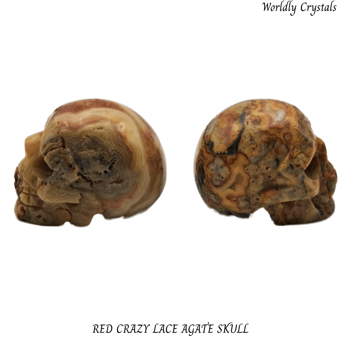 Skull Agate Crazy Lace Red