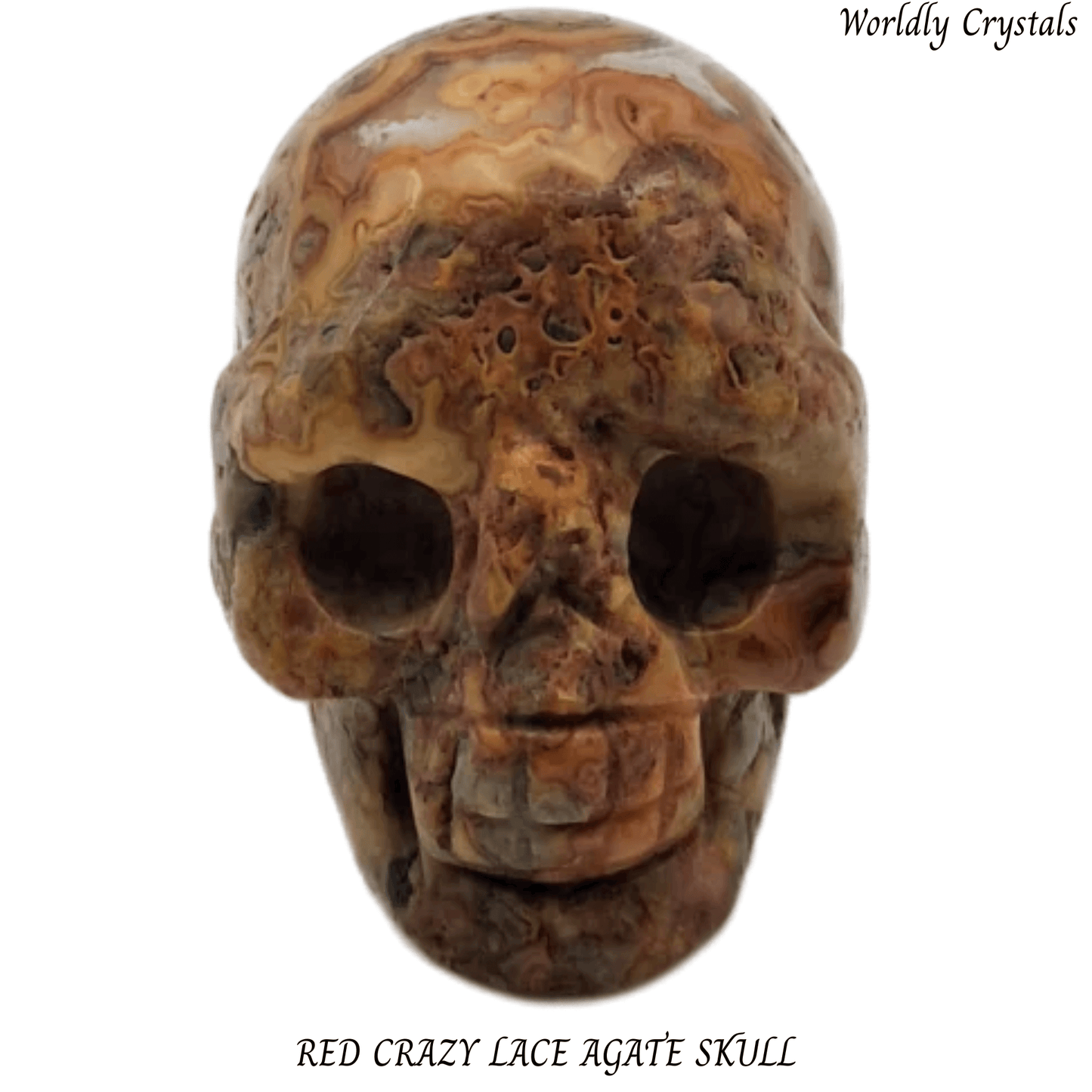 Skull Agate Crazy Lace Red