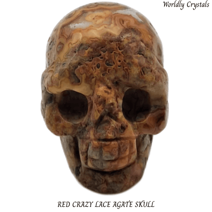Skull Agate Crazy Lace Red