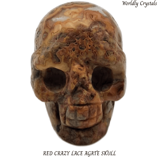 Skull Agate Crazy Lace Red