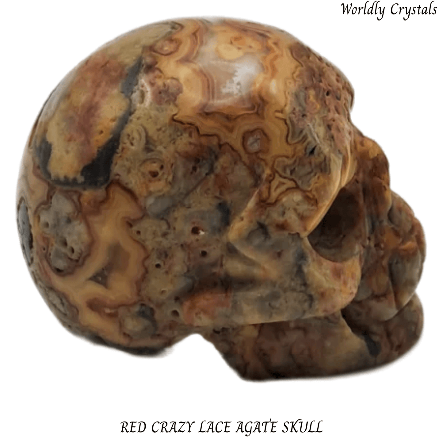 Skull Agate Crazy Lace Red