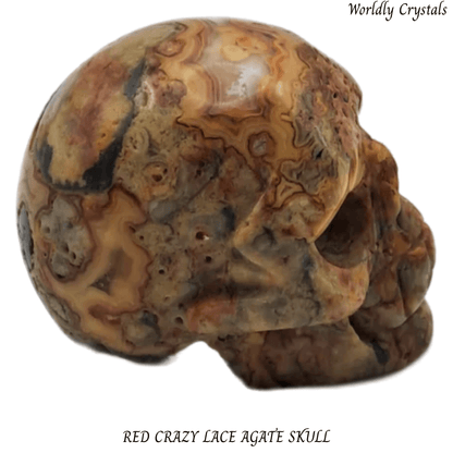 Skull Agate Crazy Lace Red