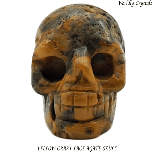 Skull Agate Crazy Lace Yellow